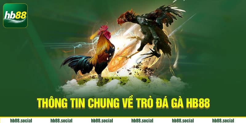 Thông tin chung về trò đá gà HB88