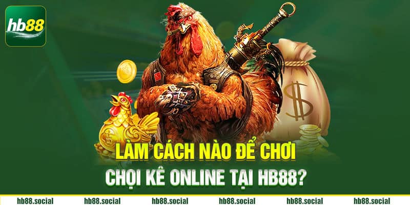 Làm cách nào để chơi chọi kê online tại HB88
