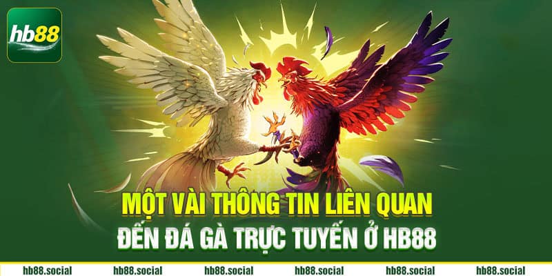 Một vài thông tin liên quan đến đá gà trực tuyến ở HB88
