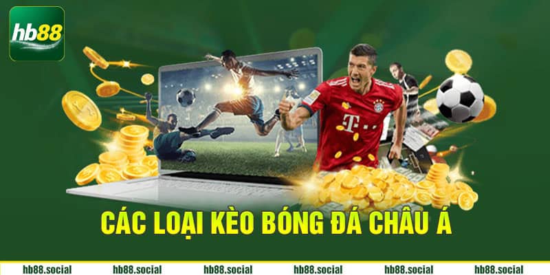 Các loại kèo bóng đá Châu Á