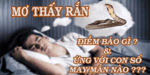 Anh-dai-dien-nam-mo-thay-ran