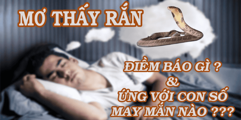 Anh-dai-dien-nam-mo-thay-ran