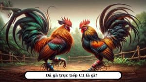 anh-dai-dien-truong-ga-c1